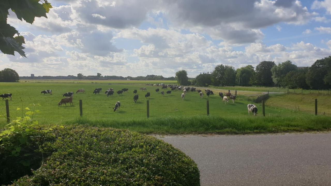 Little Get-A-Way Hellevoetsluis Hotel Kamer foto